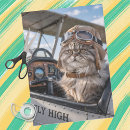 Search for airplane tissue paper Birthday