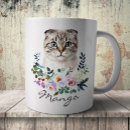Recherche de scotish tasses Chat