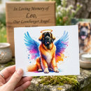 Search for tribute pet memorials Rainbow bridge