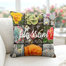 Recherche de floraison photographie Cactus