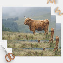 Search for bull wrapping paper Decoupage