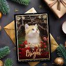 Search for pet holiday cards Script