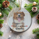Recherche de sympathy pet memorial ornaments In loving memory
