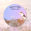 Recherche de animal adoption stickers Adopter