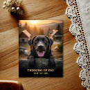 Search for dog friend postcards Retriever