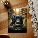 Search for dog pet sympathy cards Labrador