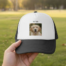 Search for memorial baseball hats Dog