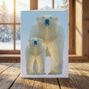 Search for bear cubs cards For kids