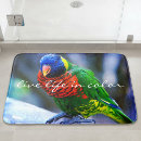 Search for red feather Photography
