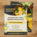 Search for lemons flyers Fruit