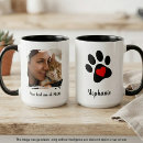 Recherche de miaule tasses Pour tous