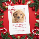 Search for pet photo christmas cards Nice list