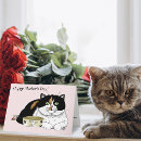 Search for spoiled cards Cat