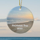 Search for texas ornaments Sunset