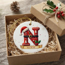 Search for letter n ornaments Xmas