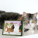 Search for in charge cards Cat