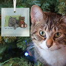 Search for grey cat ornaments Blue