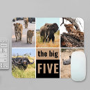 Search for elephant electronics Animal