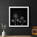 Search for black and white dandelion art Floral