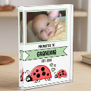 Search for promoted to grandma New grandchild