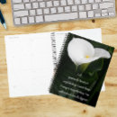 Recherche de calla lilly bureau fournitures Pour tous