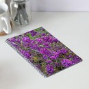 Recherche de callicarpa Botanique
