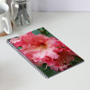 Recherche de rhododendron rose Photographie de la nature