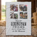 Search for horse photo blankets Pets