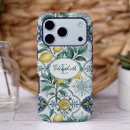 Search for azulejo iphone cases Talavera