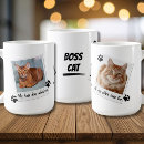 Search for whisker mugs Funny