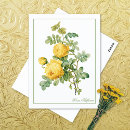 Search for rosas postcards Floral