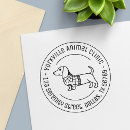 Recherche de éveillé Chien éveillé