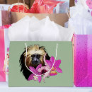 Search for monkey gift bags Wildlife