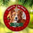 Search for unique pet memorials Forever in our hearts