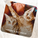 Search for minimalist animal keychains Pet photo