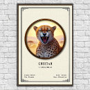Search for cheetah posters Wildlife
