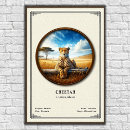 Search for cheetah posters Wildlife