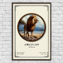 Search for african lion posters Animal