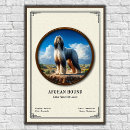 Recherche de afghan Chien