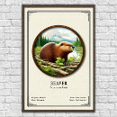 Recherche de castor posters Barrage