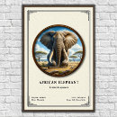 Recherche de défenses posters Éléphant