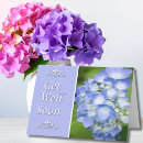 Search for lavender hydrangeas photography Botanical