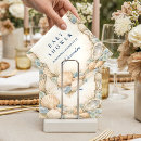 Search for shell napkins Coastal baby shower