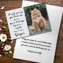 Search for cat pet sympathy cards Rainbow bridge