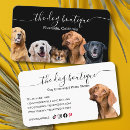 Recherche de chien noir cartes visite Toilettage