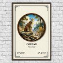 Recherche de animal puma posters Couguar