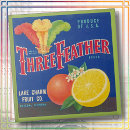 Search for feathers tiles Vintage