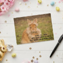 Recherche de funny easter cartes postales Humour