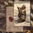 Recherche de petit singe cartes postales Animal