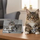 Search for humorous fathers day cards Cat